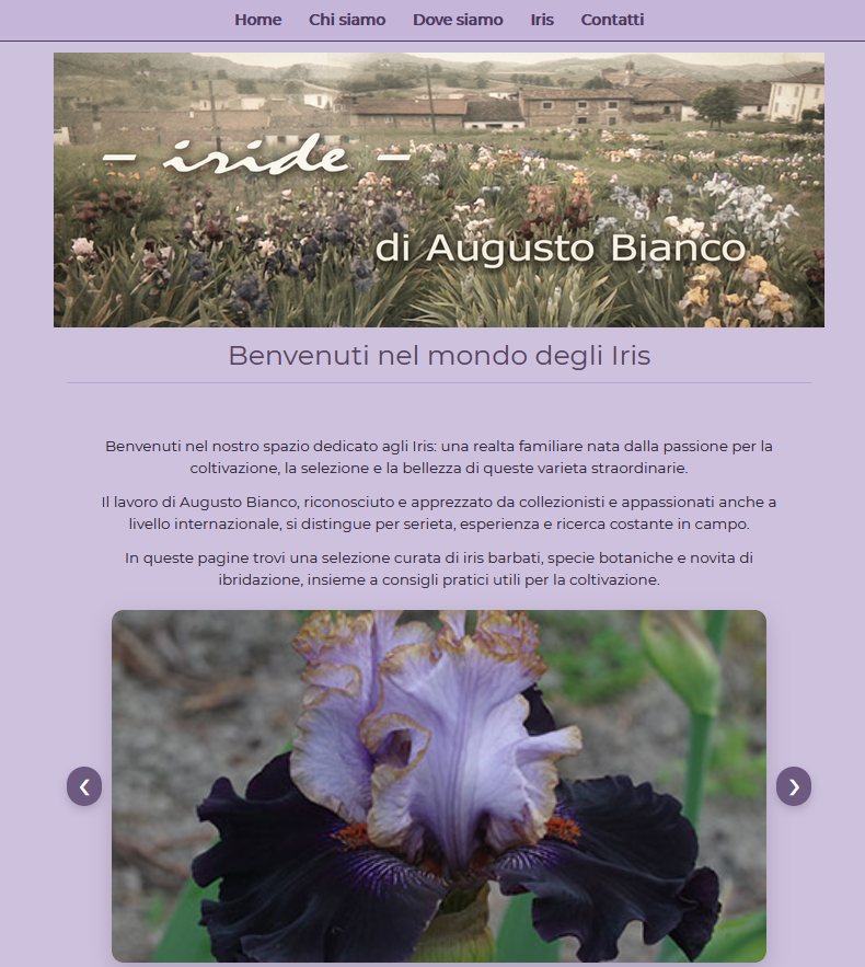 Anteprima di biancoiride.it